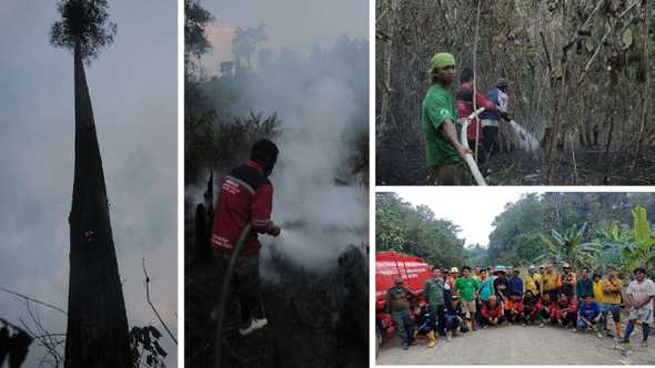 Summary Annual Report 2019 23941